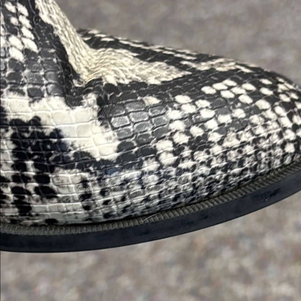 Steve Madden Devan Snakeskin Ankle Boots - Black and Grey - Picture 7 of 10